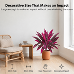🎁  Last Day 50% OFF - Artificial Boston Fern & Dragon's Blood Tree Plants