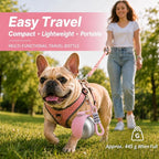 Portable Dog Water Bottle, 10 oz Stainless Steel Pet Travel Dispenser with Silicone Foldable Bowl, Leak Proof Tumbler, Dog Walking Accessories for Hiking and Small Pets