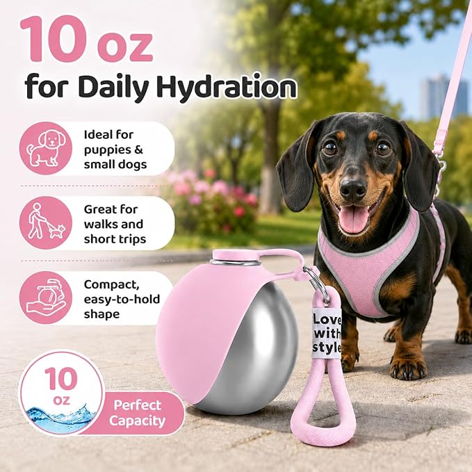 Portable Dog Water Bottle, 10 oz Stainless Steel Pet Travel Dispenser with Silicone Foldable Bowl, Leak Proof Tumbler, Dog Walking Accessories for Hiking and Small Pets