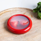 🔥Limited Time 50% Off-🔥Fruit And Vegetable Anti-Oxidation Storage Box