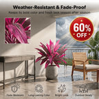 🎁  Last Day 50% OFF - Artificial Boston Fern & Dragon's Blood Tree Plants